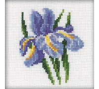 RTO Cotton Iris Flower Counted Cross Stitch Kit-4-inch x 4-inch, 14 Count