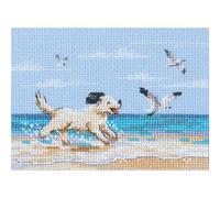 RTO Counted Cross Stitch Kit Dog Running on Beach M1108, 14ct AIDA Fabric Light Blue, Mouline Thread Colours, Embroidery for Adults