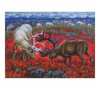 RTO Counted Cross Stitch Kit, Law of The Tundra Design M1014, 38.5 x 28.5 cm / 15.2"x11.2", DMC Mouline Thread, Zweigart Aida, Embroidery DIY kit Adults
