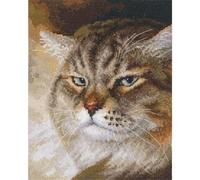 RTO Cross Stitch Kit Macho Counted Pattern 16 x 20 cm, M995