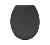 Anthracite Grey Toilet Seat Soft Close Quick Release Top or Bottom Fix
