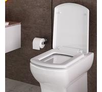 Rts D Smile 360 Top Fix Slow Close Quick Release Toilet Seat - 360X450mm