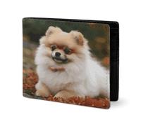 RTSEBVN Cute Wallet Twill Leather Card Holder Fashio Short-haired Pomeranian Dog Printing Small Wallet Suitable For Daily Travel, style, One Size, Twill Leather Wallet