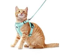 Rttochfy - Cat Harness and Leash Set, Adjustable Reflective Kitten Vest Escape Proof Kitten Harnesses Easy to Put on with 3 Buckles for Cats Walking and Traveling (Light Green, M)