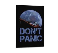 RTWEGRYRHKK Dont Panic Canvas Posters Aesthetic Wall Art Decorative Painting Poster Decor Vintage Canvas for Living Room Bed Room 12x18inch(30x45cm) Frame-style