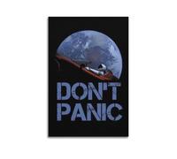RTWEGRYRHKK Dont Panic Canvas Posters Aesthetic Wall Art Decorative Painting Poster Decor Vintage Canvas for Living Room Bed Room 16x24inch(40x60cm) Unframe-style