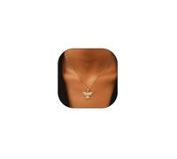 RTY Gold Copper Phoenix Eagle Necklace for Women CZ Rhinestone Fly Bird Coker Necklace for Teens, Zinc, No Gemstone