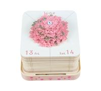 Rtyweth 3D Calendar Memo Pad 2025 Time Piece Calendar Tree House Sticky Away Paper with Carving L Notes,Rip Notepad