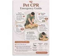 RUAJOGYNVM Pet CPR Emergency Guide Poster First Aid Life Saving Steps Wall-Art(Framed,08x12inch(20x30cm))