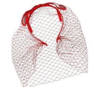 Ruarby Classical Mesh Veil Headband For Women Girl Vintage 1920s Costume Head For Weddings Parties And Themed Event Cocktails Headband