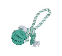 Rubber ball with rope for dogs Nobby Pet Dental Line
