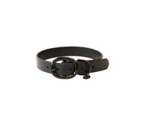Rubber dog collar Kentucky
