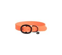 Rubber dog collar Kentucky