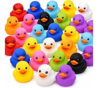 Rubber Ducks Multipack, Mini Rubber Ducks 30 Pack, Small Plastic Duck Toys for Kids, Bath Duck Toys, Colourful Squeaky Duckies for Party Bags, Bath Time Fun, Car Dashboard Decor (30PCS Bulk Pack)