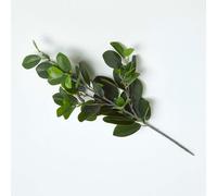 Rubber Leaf Foliage 58 cm