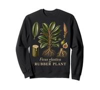 Rubber Plant Botanical Houseplant Vintage Illustration Sweatshirt