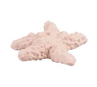 Rubber starfish toy for dogs Duvoplus Eco