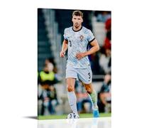 Rúben DiasWaterproof Posters Wall Art Posters Waterproof Home Printing Moisture-proof Easy to Install And Fade ResistantFrame-style24x36inch(60x90cm)