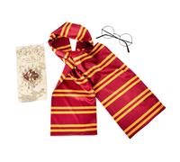 Rubies 301749NS000 Harry Potter Accessory Set Kids Fancy Dress, Unisex Children,