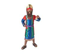 Rubies 610509 Official Men's Nativity Wise Costume, Kids', Large Halloween