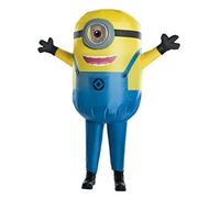 Inflatable Stewart