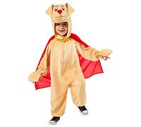 Super Cute Toddler Superpet Costume for Your Little Hero