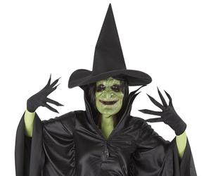Rubies Adult Costume-Set Wicked Witch, Black/Green, One Size (S8334)