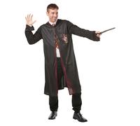 Adults Officially Licensed Harry Potter Fancy Dress Costume Robe, Tie & Wand