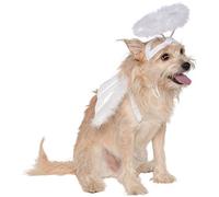 Rubies Angel Halo and Wings Pet Costume Accessory Set, White, M/L