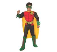RUBIES DELUXE ROBIN BATMAN ARKHAM GOTHAM CITY HALLOWEEN CHILD COSTUME 610829