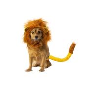 Rubie's Disney Lion King Pet Costume Accessory Set, Simba, Medium/Large