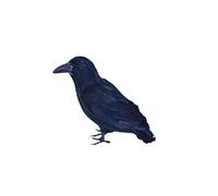 Rubies - Feathered Raven