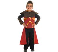 Rubies Harry Potter And The Half-Blood Prince Boys Deluxe Quidditch Robe Small