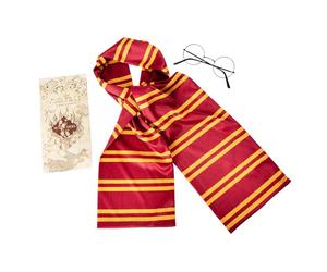 Rubies Harry Potter Kids Accessory Set with Gryffindor Scarf, Glasses, Map