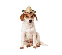 Rubies multi colour sombrero pet costume hat for dogs small to large
