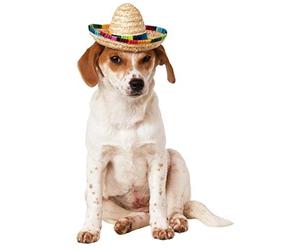 Rubies multi colour sombrero pet costume hat for dogs small to large