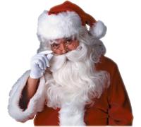 Rubies Official Feature Santa Beard and Wig Set Christmas Adult (One Size) Hall