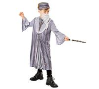 Children's Grey Official Harry Potter Dumbledore Wizard Halloween Robe Costume