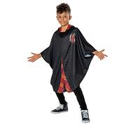 Rubie's Official Harry Potter Gryffindor Child Poncho, Kids Fancy Dress, Age 5-6 years Halloween Halloween