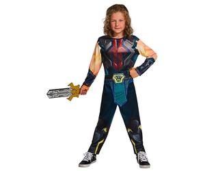 Rubie's Official He-Man Masters of the Universe Child Costume, Kids Fancy Dress
