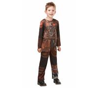 Official Licensed Boys How to Train Your Dragon Hiccup Fancy Dress Costume
