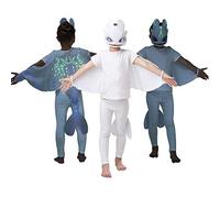 Rubies Official How to Train Your Dragon - Light Fury Dragon, Childs Wings and Mask Set, One Size 3-8 Years Halloween