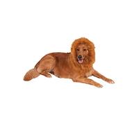 Rubies Official Lion's Mane Dog Pet Costume, One Size Halloween