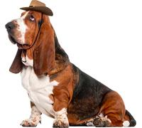 Rubie's Official Pet Dog Costume Cowboy Hat Halloween Halloween