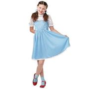 Rubies The Wizard of Oz Dorothy Girl's Fancy Dress Costume