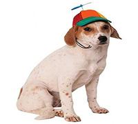 Rubies Propeller Hat for Pets