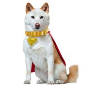 Rubies Supergirl 2026: Krypto Pet Costume for Dogs or Cats, Small