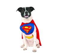 Rubies unisex adult DC Comics Pet Costume, Superman, Medium Party Supplies, Multicolor, Medium UK Halloween Halloween