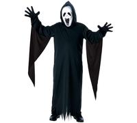 Rubies Official Howling Ghost Costume - Medium (5-7 Years) Halloween, World Book Day