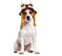 Rubies Viking Pet Hat for Dogs or Cats, M/L